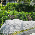 座落於大塊森濤景觀庭園後方的街道家具，以大自然生態(tài)為靈感創(chuàng)作《河畔青青》，建立起土地與建築的對話，承載人們愜意悠然的片刻。