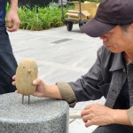 每一隻鳥兒都有著獨(dú)特的姿態(tài)和表情，彷彿在述說著它們自身的旅程與故事。