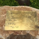 鐵樹與貓，樹屋與鳥，彼此共鳴出有溫度的故事，在此地生根萌芽。