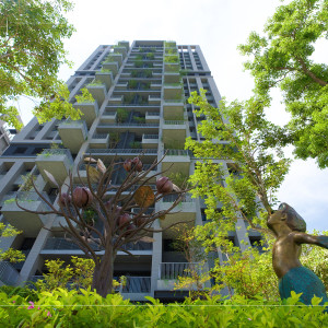 等待風(fēng)起、河畔青青