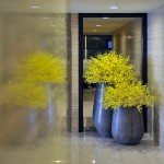 完工實(shí)景圖