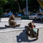 喵星人放學(xué)