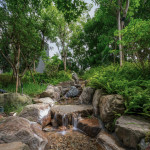 中庭景觀一隅 實(shí)景圖