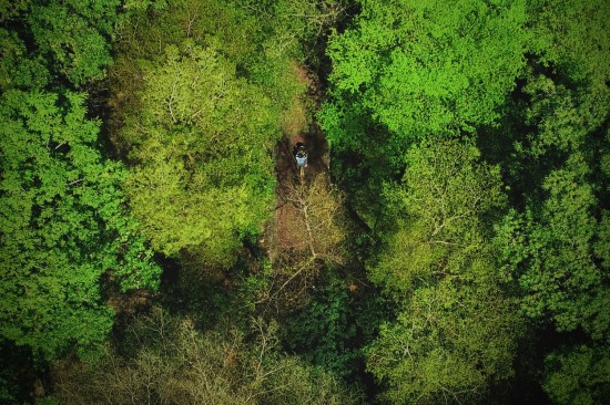 鳥瞰東光園道光景，築森鄰以氧森綠海為伴。