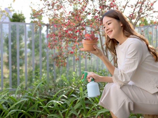 捧起微景，端看大塊美景的縮影。葉片勃發(fā)、欣欣向榮，與『大塊森濤』的靜好歲月相呼應(yīng)。