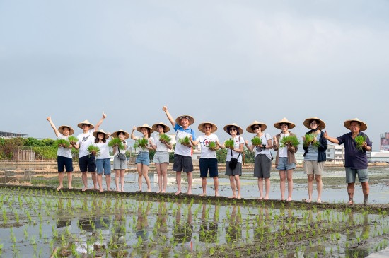 大暑之日，新業(yè)建設(shè)的大家長 穆椿松名譽(yù)董事長(右七) 與 卓勝隆董事長(右六)帶領(lǐng)各部門同仁，一大清早，來到契作認(rèn)養(yǎng)的霧峰田間，體驗(yàn)農(nóng)家插秧盛事。