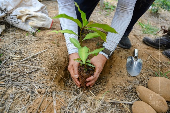 由新業(yè)建設(shè) 卓勝隆 董事長(zhǎng)種下新業(yè)團(tuán)隊(duì)的第一棵小樹(shù)苗，滿懷心中希冀，期盼平安順利長(zhǎng)大，為大肚山增添另一份生機(jī)。