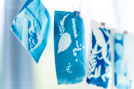 將明信片一字排開，藍(lán)與白的濃淡交織，映照出每位住戶獨特的創(chuàng)作築跡。