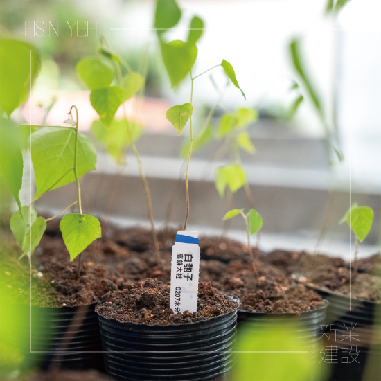 『臺灣山林復(fù)育協(xié)會』，核心目的是推動本土的生態(tài)教育，進行自然棲地的保護，在地種源的復(fù)育，及推動廢耕山坡地順應(yīng)演替復(fù)育為自然森林的工作。