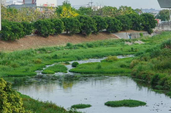 蜿蜒的筏子溪與新業(yè)做鄰居已經(jīng)有一段年月，縱長的河道是小魚小蝦們的家，讓我們一起保護牠們的家園，付出行動愛地球。