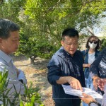 即使是一棵樹的規(guī)劃，也需方方面面、適居適所，為住戶帶來最能契合生活的好鄰居，打造自在森活的綠意空間。