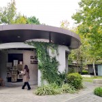 綠蔭盎然、四年的照護(hù)，讓爬藤植物悄悄包覆在「新業(yè)書(shū)席」之上。此次參與鐵道文學(xué)特展，書(shū)席新增鐵道文學(xué)主題書(shū)籍，讓大家也可以一覽鐵道之美。