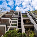 仰望大塊森鄰的複層陽臺，藍(lán)天、綠意與建築交織的美好，一覽無遺。