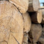 細(xì)看木紋的肌理、柔和，展現(xiàn)獨(dú)一無二的歲月，自然色澤，不僅帶來舒心感受，也能提升居家空間質(zhì)感。