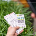 當(dāng)天新業(yè)職人們不只親力親為的為大肚山種下希望的樹(shù)苗，也捐出發(fā)票，為臺(tái)灣淺山森林再出一份力，也邀請(qǐng)更多的人一起關(guān)注 ＃我愛(ài)山林_5230。