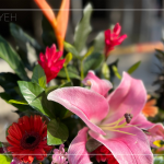 良辰吉日，透過聲聲祝禱，繫起天地與人之間的對話，期盼2024年完工的【築森鄰】完美收尾。