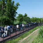 南勢溪集水面積約9.53平方公里，水質(zhì)良好，周圍仍保留自然生態(tài)風貌，水利局打造1.8公里長的河流與綠親水廊道，透過廊道下到溪邊與自然更加親近。