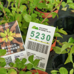 當(dāng)天新業(yè)夥伴們不只身體力行的為苗木進行換盆作業(yè)，也捐出發(fā)票，為臺灣淺山森林再出一份力，也邀請更多的人共同關(guān)注 ＃我愛山林_5230。