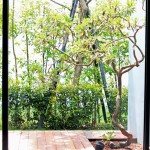 看一棵樹在地板上描繪出自己影子的輪廓，也捕獲四季生動(dòng)而多變的表情。