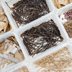 森林裡、步道旁，隨處可見的枯枝落葉、樹幹、樹皮，在透過仔細(xì)觀察各式昆蟲的型態(tài)與構(gòu)造，就能製作出帶有童趣的植物昆蟲。