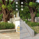 「幫近20棵的茄苳樹換新家」－因原有的花臺(tái)過小，喬木生長空間有限，新業(yè)團(tuán)隊(duì)重新打造舒適的巢穴。