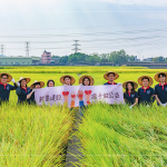 邁入第14年的契作認(rèn)養(yǎng)，以友善農(nóng)法耕作，保障農(nóng)友收益也為環(huán)境留下良田。