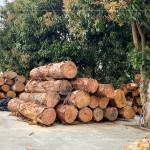 透過素材再利用，延續(xù)了木材的價(jià)值，新業(yè)積極響應(yīng)永續(xù)發(fā)展，打造與自然共存的建築。