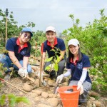 新業(yè)建設(shè) 邱正光 副總經(jīng)理(圖中)攜手各部門(mén)同仁，益起為大肚山森林當(dāng)起生態(tài)志工。
