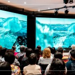 冰島沙灘上躺滿了大小形狀不一的冰塊，像極了鑽石，晶瑩剔透、藍(lán)白相間，從冰河母體崩解，流落到冰河湖再漂向大海，流連在海岸線上，古老冰河的遺骸，年歲比陸地上最古老的神木都要老上百萬倍。