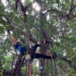 樹林中的「蜘蛛人」，利用腳鎖式（Footlock）快速攀升到切點，時而擺盪、時而穿梭林間，其中技巧有著大大學(xué)問。