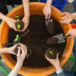 復(fù)育森林，並非將樹種滿，而是選擇適地適種的原生種，透過 ＃樹苗培育，達到生態(tài)平衡，維持生物多樣性。