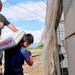 上一代承接給年輕小農(nóng)的，並不是土耙鋤頭，必須從零開始做起，從一袋袋肥料開始扛起。堅持盡可能讓肥料灑得剛剛好，適量不過量，讓土地更有永續(xù)發(fā)展的餘裕，以善念回應給土地。