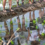 感受大地的生命力，帶來溫柔的印記，農(nóng)作以風(fēng)味，記載了大自然不朽的魅力。