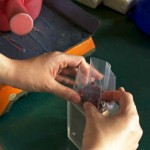 將一顆顆飽滿健康的紅豆，以容器固定成漂亮的長方體，就準(zhǔn)備進(jìn)入抽除空氣及封口的階段了。