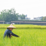 支持霧峰在地三代小農(nóng)，友善耕作，堅(jiān)持品質(zhì)，嚴(yán)選品種，保留大地最純粹的溫柔。