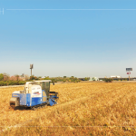 放眼望去猶如金黃稻浪，結(jié)綴累累的稻穗是農(nóng)民們辛勤付出的最美風(fēng)景。