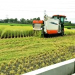 一粥一飯，當(dāng)思來處不易，所扒進(jìn)嘴裡的每一口飯，我們都能想見：此刻，樂天的農(nóng)民正以著最樸實(shí)的笑容，來迎接稻田每一天的欣欣向榮。