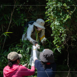 帶上夾子、爬上邊坡，草堆之間可以明確看到這些待清除的「不塑之客」，唯有仔細尋覓，才能還給河川與自然乾淨的家園。