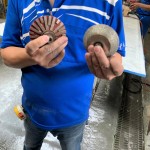 專業(yè)磨石材「造型師」登場！左邊的工具適合硬度較高的花崗巖，右邊則適合切割硬度較軟的大理石，儼然已經(jīng)摸清石材的脾氣與習(xí)性，不同石材也需要不同的工具處理。