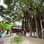 需擬定縝密的攀樹計畫、風(fēng)險評估，配戴好各式攀爬裝備。安全第一!
感謝「樹沃客」專業(yè)團(tuán)隊。