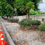 舊有人行道拆除工程，新業(yè)保留原有的樹穴，還給喬木更多的生長空間，美化的同時(shí)也善待環(huán)境。