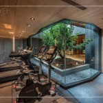 為樹保留一方天地，位於B1的健身空間，讓綠意、光線自然穿透，健身的同時(shí)
也可以享受被綠意包圍的森活感。