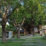 綠意盎然的臺中文學(xué)館，有近百株繁盛花草樹木，環(huán)繞日式時代的百年建築，有著說不完、道不盡的人文歷史，不妨親自巡禮一番。