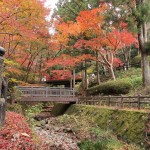 山號「一乘山」的根來寺，美景俯拾即是，滿園的楓紅落葉紅了南紀(jì)的秋天。