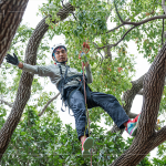 接獲攀樹挑戰(zhàn)的大人們，不惶多讓直攀樹稍，近距離欣賞樹冠的雄偉壯麗