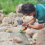 特別挑選顏色鮮豔的『黃金角石』，鋪墊後院生態(tài)水池的底部，即使是一顆顆石頭的規(guī)劃，也需要適居適所。