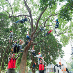 令人興奮、緊張、雀躍地攀樹體驗(yàn)課，藉由相機(jī)記錄下這難忘的一瞬。