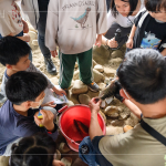 荒野保護協(xié)會總顧問-林笈克親臨現(xiàn)場，特地下溪捕撈小魚，有原生種鯽魚、吳郭魚、紅魔鬼等，不僅讓大小朋友認識牠們，也更加了解筏子溪的多元生態(tài)，並於結束時將這些小魚們放回屬於牠們的家園。