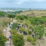 防火林帶建置—保留了野生樹(shù)種，種下榕屬植物，透過(guò)樹(shù)島的母樹(shù)大量逸散種子，長(zhǎng)出野生樹(shù)苗，來(lái)加速森林演替、生生不息。