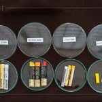 除了油畫棒，講師當(dāng)天還攜帶了其他的創(chuàng)作媒材，並分享各款媒材的成分差異與使用差異，讓創(chuàng)作者日後更能輕易分辨媒材。